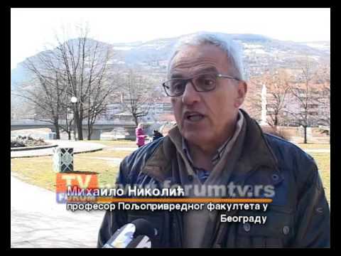 INFORMISANI GRADJANI - AKTIVNI GRADJANI - Malinarstvo u opstini Prijepolje