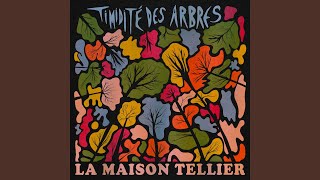 Music video thumbnail preview for Low Cost by La Maison Tellier