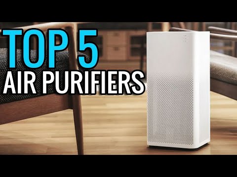 Top 5 Best Air Purifiers 2021 - Best Home Air Purifier Reviews