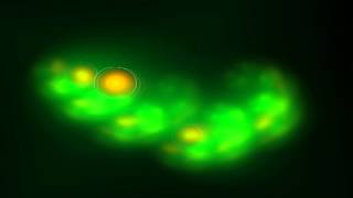 The Tikis - More and More and More (1966)