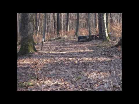 3-D Parcours in Donzdorf