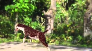 Enigma - Once In A Lifetime