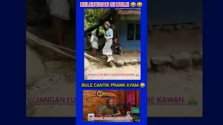 Download lagu NGAKAK VIRAL : BULE SESAD | #meme #ngakak mp3 Download lagu NGAKAK VIRAL : BULE SESAD | #meme #ngakak mp3