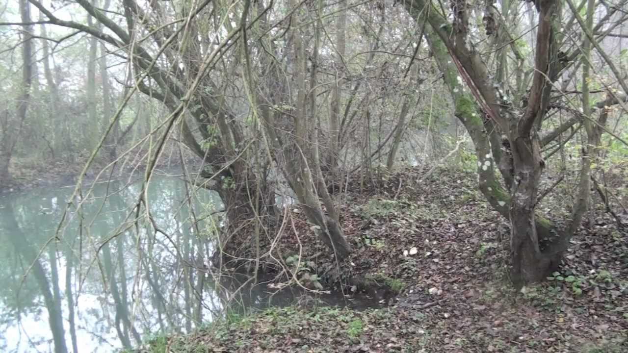 Était-il chasseur ? (Mlle Renée Vuillaume)