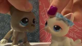 I&#39;m Sorry I Stole Your Girlfriend | Stereo Skylines ~ MUSIC VIDEO