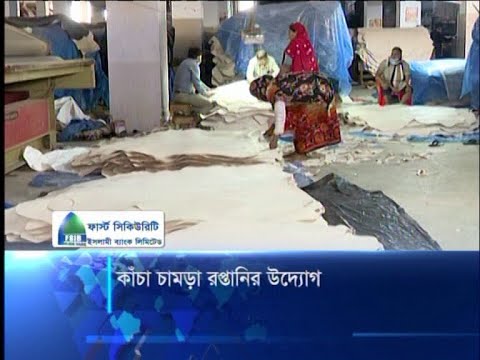 কাঁচা চামড়া রপ্তানির উদ্যোগ