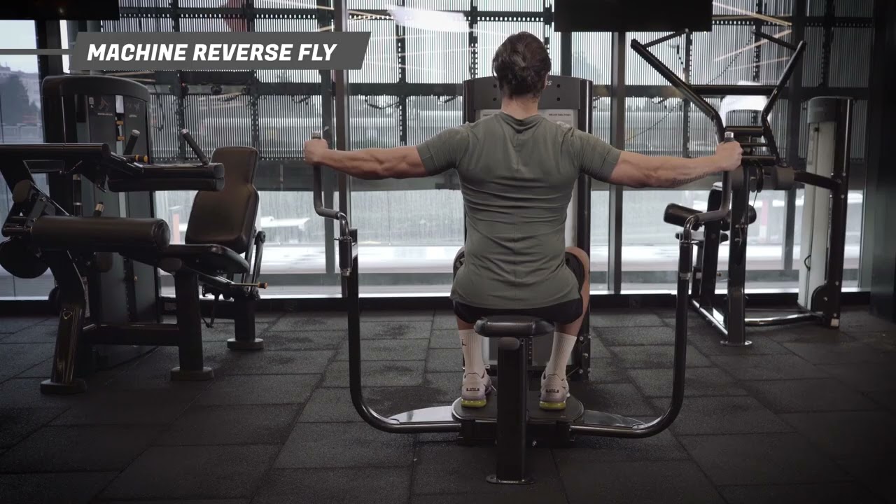 Rear Delt Fly
