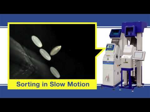 Chute Type Optical Sorter Slow Motion Video