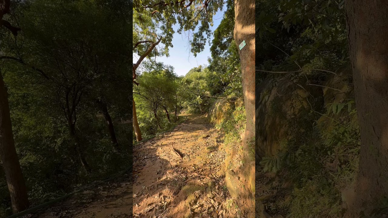 YouTube Short thumbnail