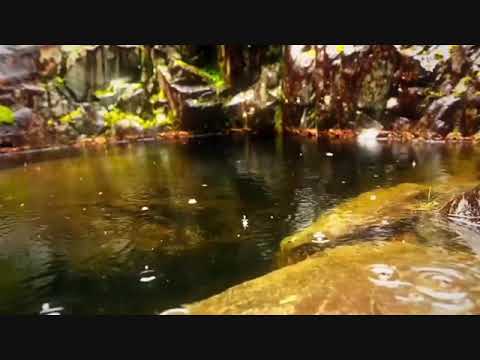 Instrumental Piano Lagu Rohani Kristen 2020 - Instrumen Rohani Penyembahan Dengan Apa Kan Kubalas