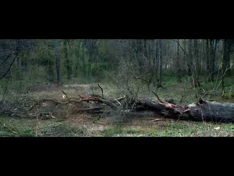 Vom Baum zum Tisch - Handwerk & Holzkunst von Stefan Knopp 🌳