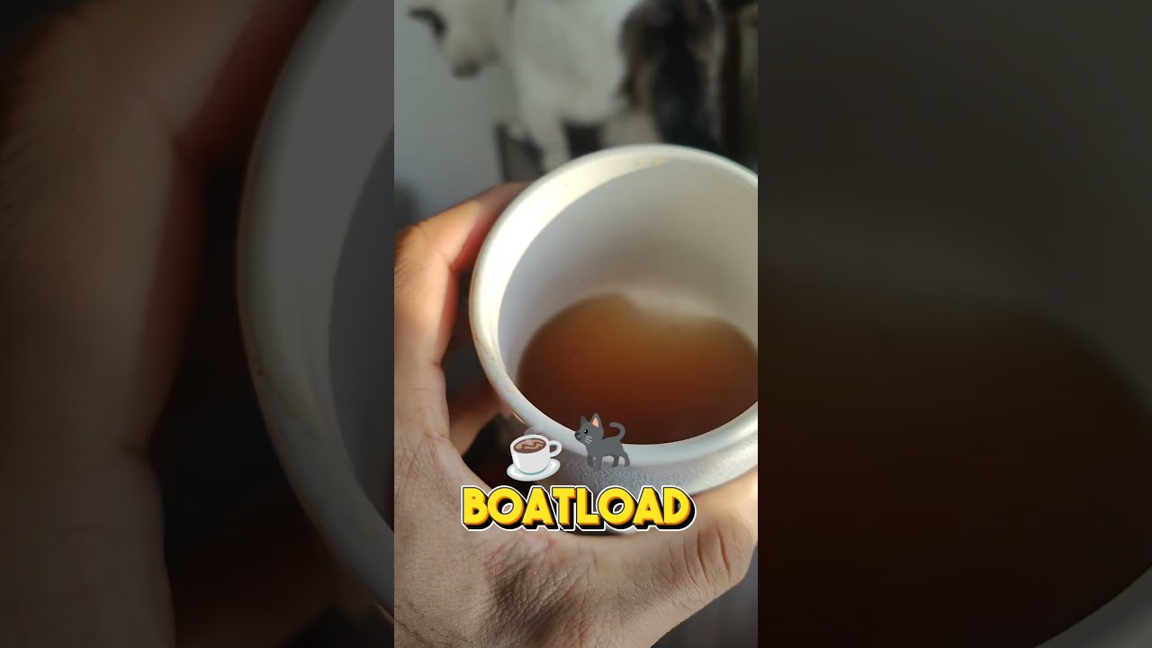 Jenny's hair on my coffee? So what? LOL 🥰🐱 #cats #petlover #pets