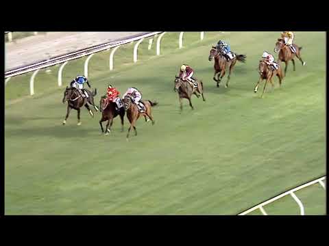 Galoppo 18/07/2020 - 6ª corsa