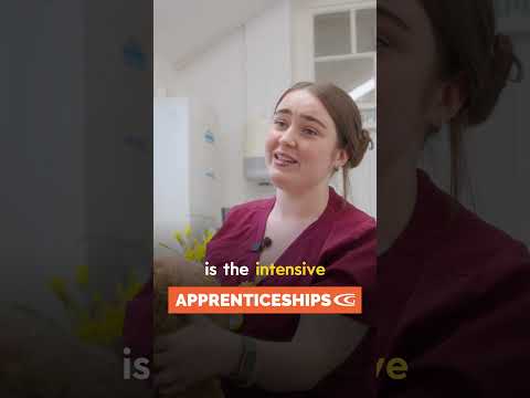 Animal Care Apprenticeships