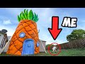 I Built SpongeBob S House In My Backyard