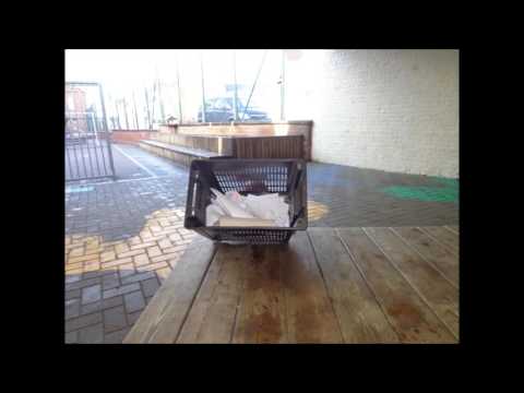 sorteren doe je zo 4de leerjaar