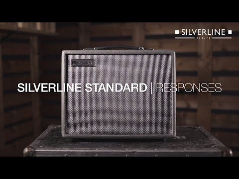 Blackstar Silverline Standard 20-Watt 1x10 Guitar Combo Amplifier image 5