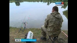 Ссылка