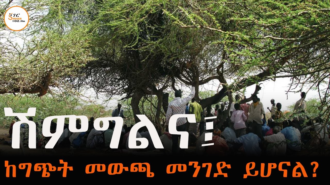 ሽምግልና፣ እውነት ከግጭት መውጫ መንገድ ይሆናል ወይ?