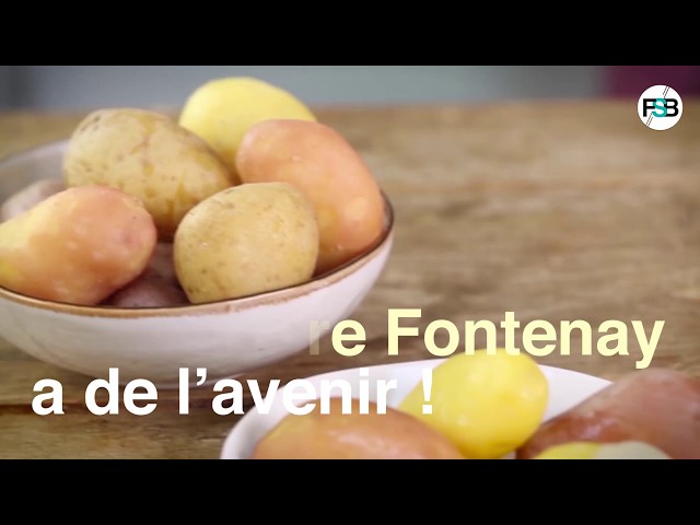 La Belle de Fontenay !