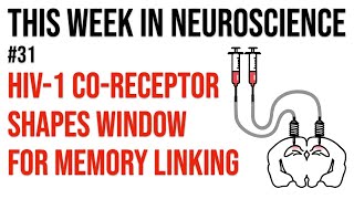 TWiN 31: HIV-1 co-receptor shapes window for memory linking