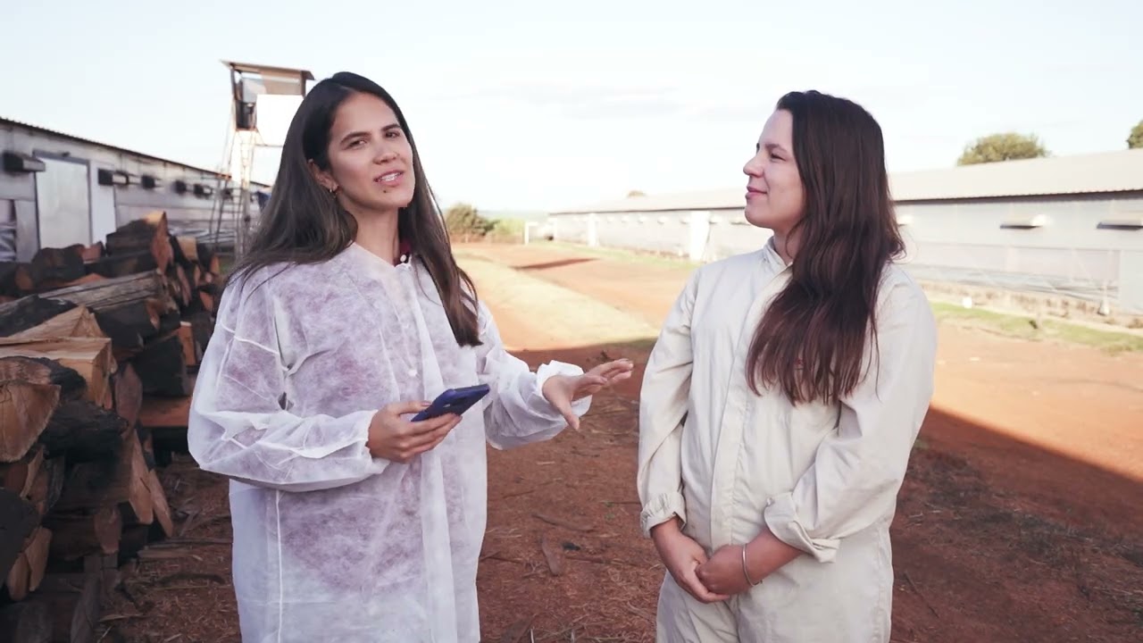 Biosseguridade reforça prevenção de doenças na produção de aves | Interligados