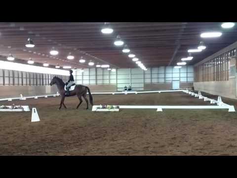 GVRDC 5/15/16 KNorthrop Dressage