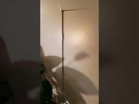 Atherton Street, South - Video 2 of 2