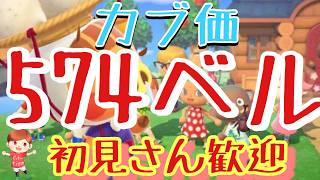 【あつ森】カブ価574ベル島515ベル島など　ライブ参加型