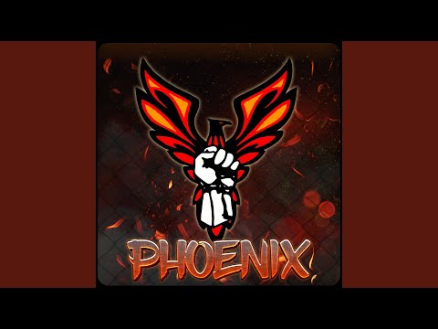 Intro Phoenix