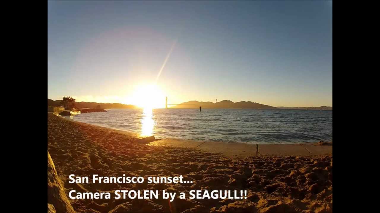 GoPro STOLEN by a SEAGULL!! - Unique San Francisco sunset... - YouTube