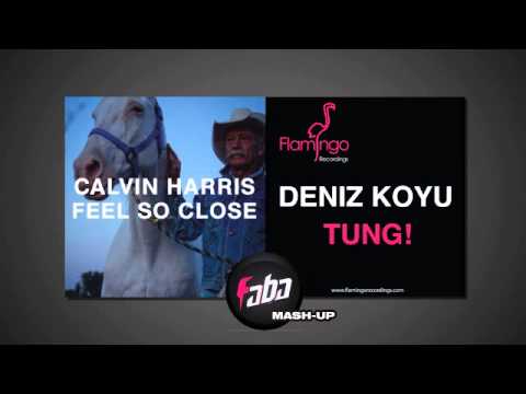 Calvin Harris vs. Deniz Koyu - Feel So Tung (Faba MashUp)