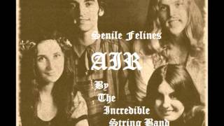 Senile Felines - Air (Incredible String Band)