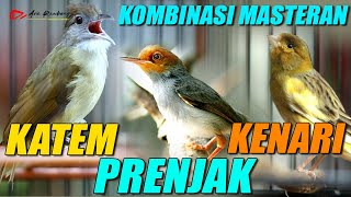 Download lagu MASTERAN KOMBINASI KATEM - PRENJAK TIR - KENARI mp3