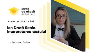  Interpretarea textului