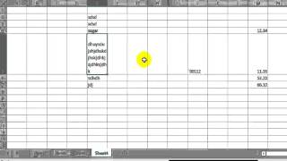 How to keep text in cell in Microsoft excel