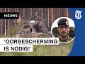 Kijkje bij oefening Nederlandse militairen