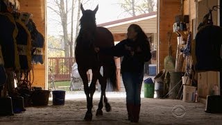 Indiana girl turns "runt" into championship winning horse