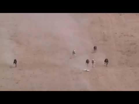 2ª SEMIFINAL 600MTS  MENTRIDA   5-9-2015