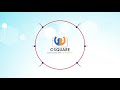A Glimpse of C-Square Info Solutions Pvt Ltd.