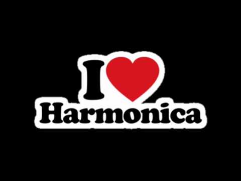 Charlie Musselwhite - She May Be Your Woman - Ace of Harps