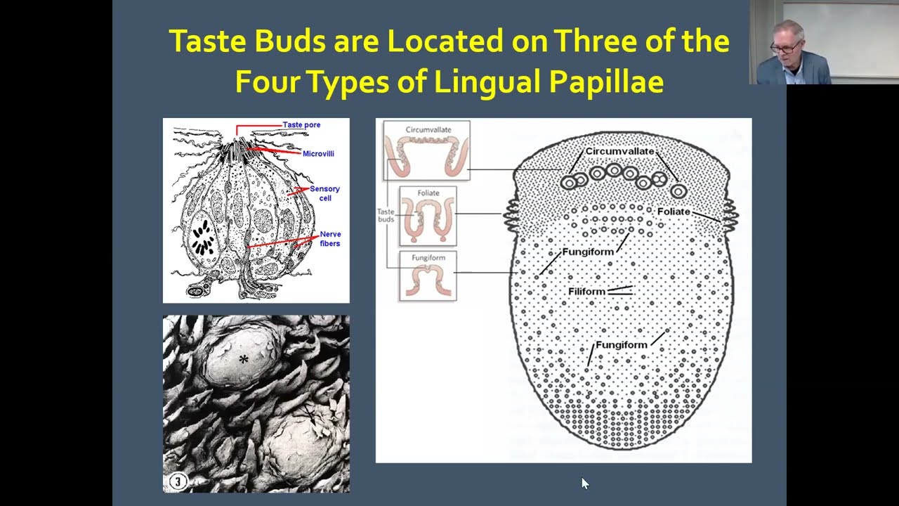 Seminar Series - Richard Doty