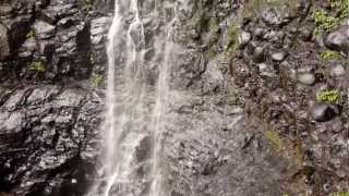 preview picture of video 'Purlingbrook Falls (Springbrook National Park, Springbrook, Queensland, Australia)'