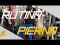 RUTINA DE PIERNAS PARA VOLUMEN Y CALIDAD MUSCULAR EN 4 SEMANS | FERNANDO VALDEZ