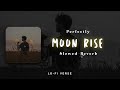 Moon Rise -  | Perfectly Slowed + Reverb | Man of The Moon | Guru Randhawa