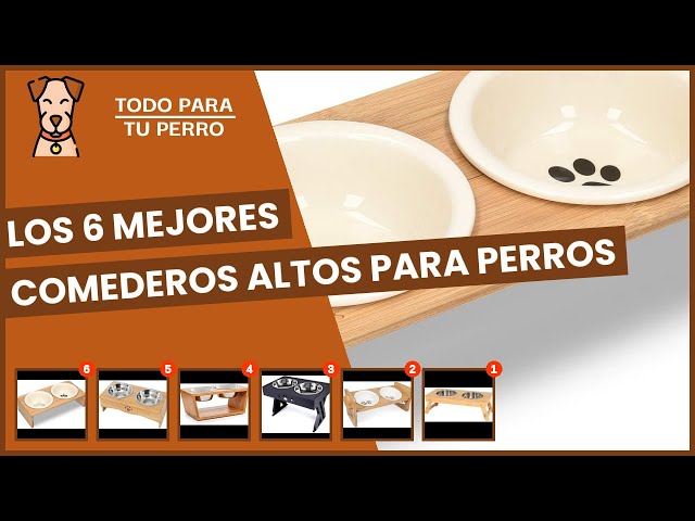 Vídeo relacionado con Foymlon Comedero Perro Elevado, 400ML 2 Piezas Comedero Perro Gato Cerámica con Base de Bambú y Almohadilla Antideslizante para Perros Mediano y Pequeños (Gris)