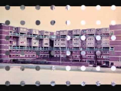 The LANCED PIMPLES - ASHFIELD VALLEY HOLIDAY.(DubStyle)