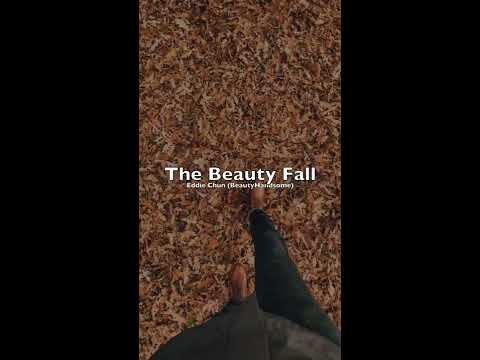 [K-indie Lyric] The Beauty Fall Lyric Video [ENG Sub]