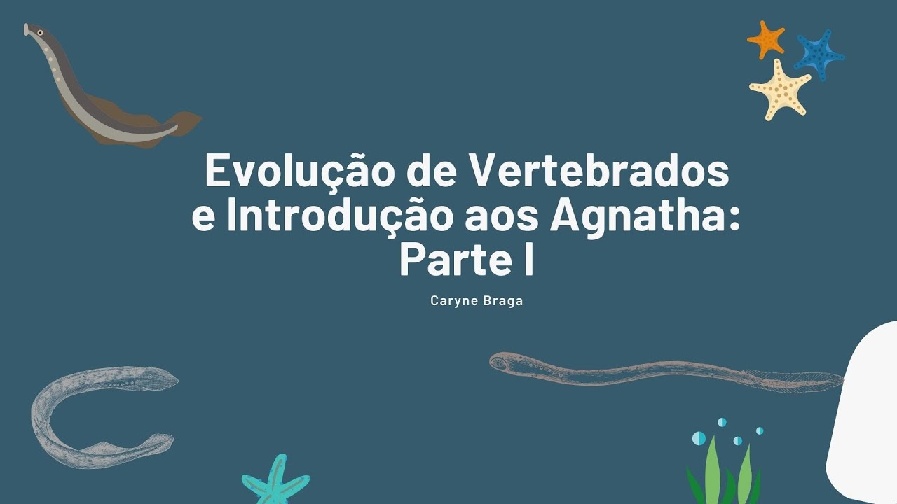 Evolução de Vertebrados e Introdução aos Agnatha: Parte I
