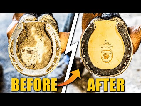 Satisfying Full Horse Hoof Restoration | 4K Farrier ASMR